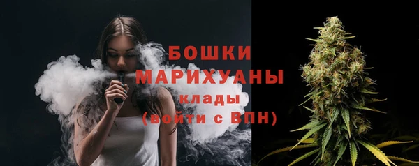 ешки Медногорск