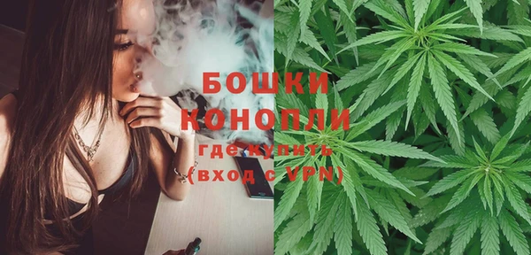 ешки Медногорск