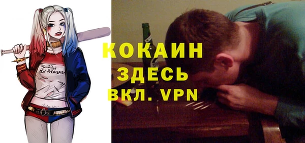 ешки Медногорск